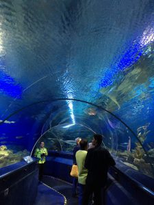 アクエリアKLCC水族館の水中トンネル